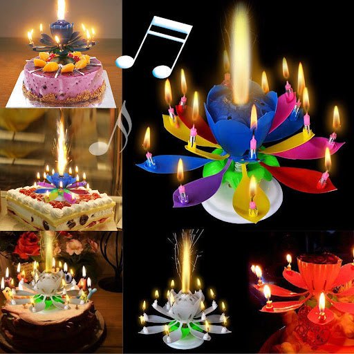 Melody Birthday Candle – Musical Flower Candle With Rotating Petals, Colorful Flames, And Happy Birthday Tune For Party Celebrations (Random Color) - Buyora onlineMelody Birthday Candle – Musical Flower Candle With Rotating Petals, Colorful Flames, And Happy Birthday Tune For Party Celebrations (Random Color)Buyora onlineBuyora onlineMelody Birthday Candle – Musical Flower Candle With Rotating Petals, Colorful Flames, And Happy Birthday Tune For Party Celebrations (Random Color)